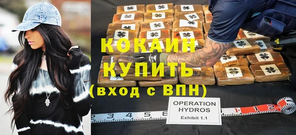 дживик Арсеньев