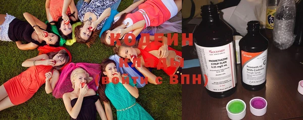 дживик Арсеньев