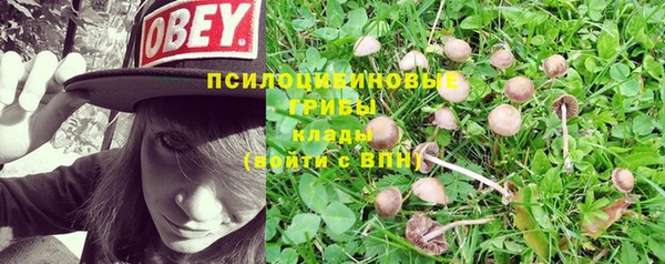 мет Армянск
