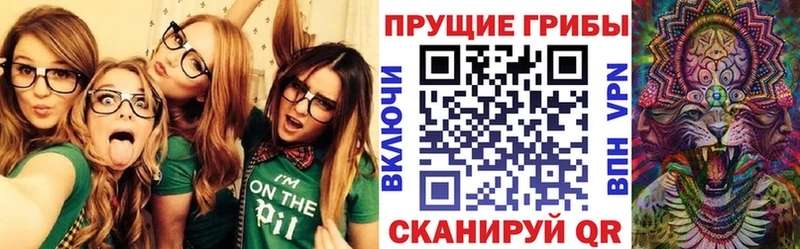 Псилоцибиновые грибы GOLDEN TEACHER Россошь